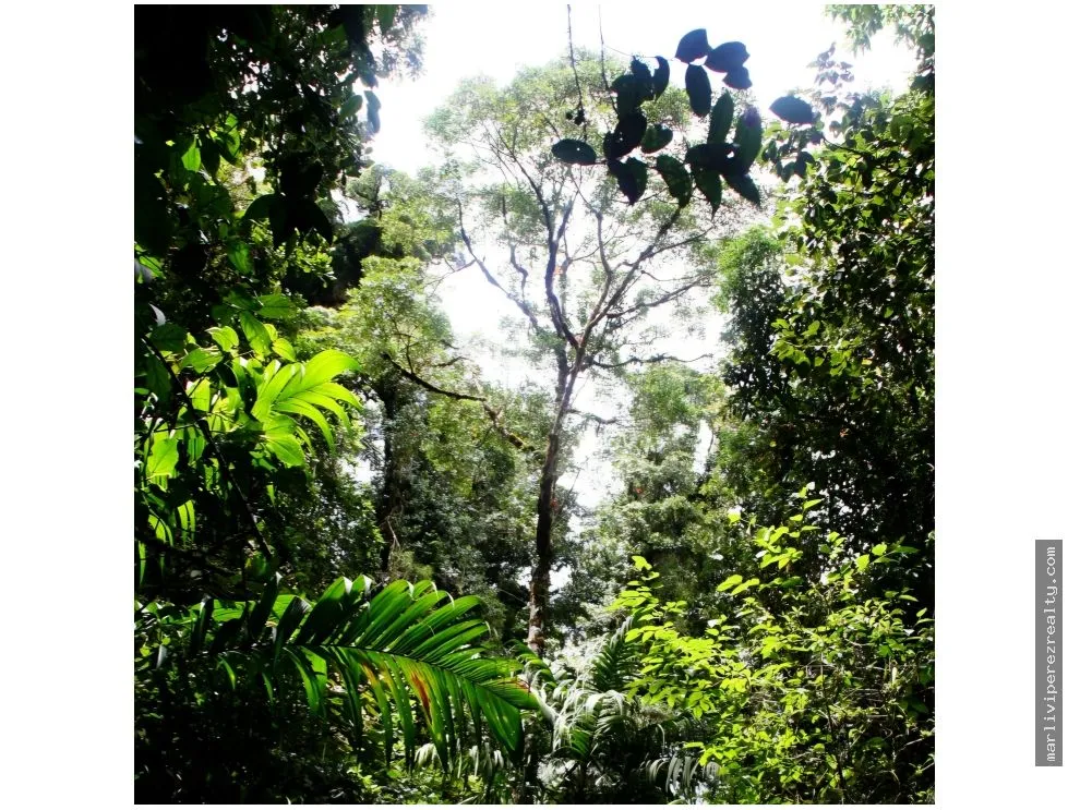 VENTA DE TERRENO PARA INVERSION