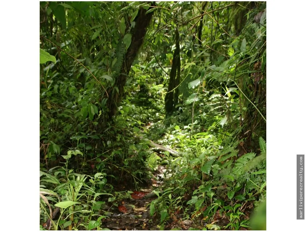 VENTA DE TERRENO PARA INVERSION