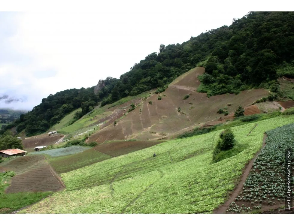 VENTA DE TERRENO PARA INVERSION