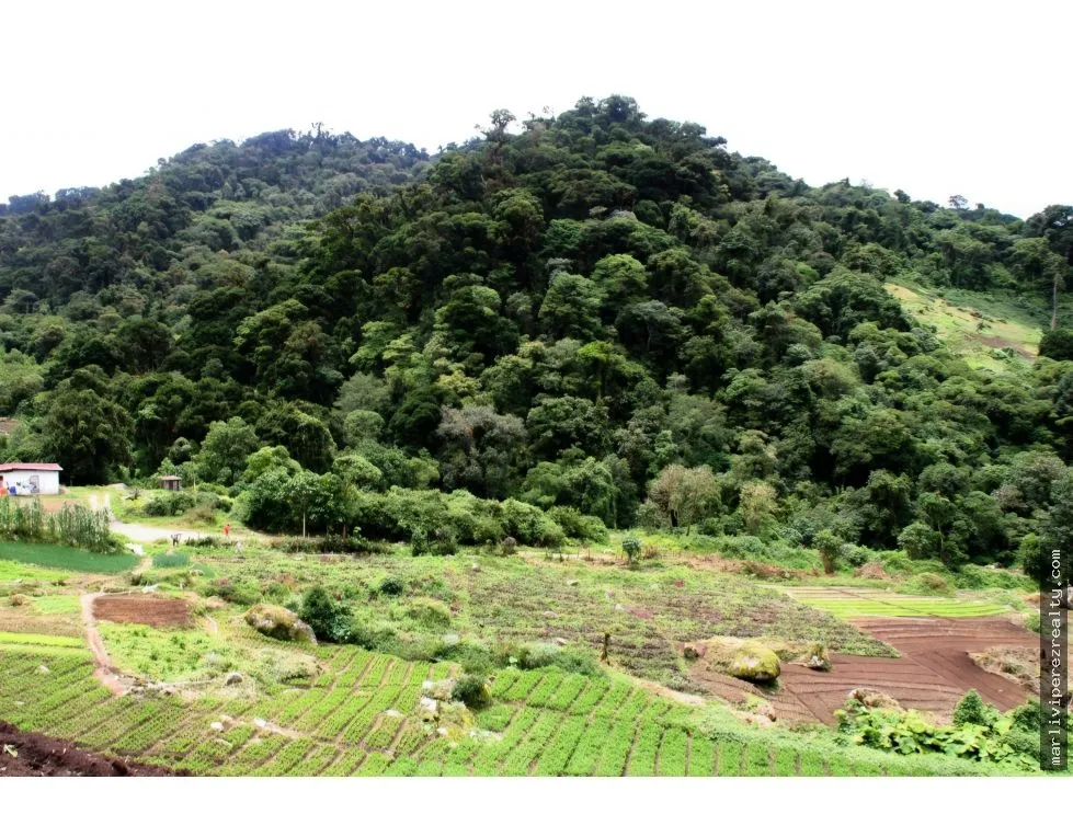 VENTA DE TERRENO PARA INVERSION