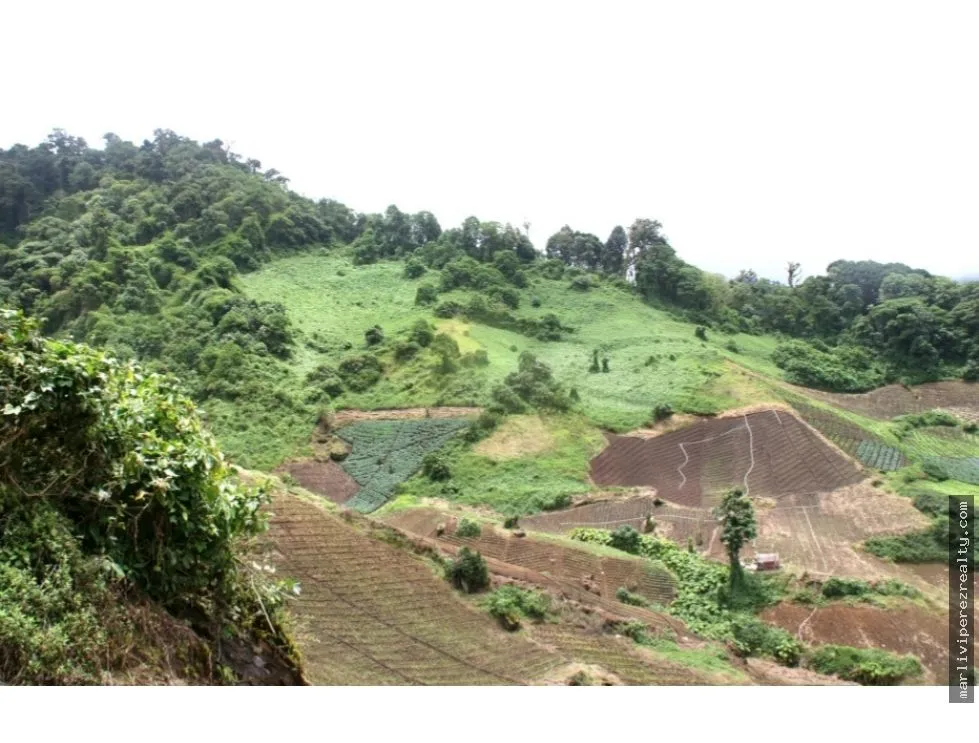 VENTA DE TERRENO PARA INVERSION