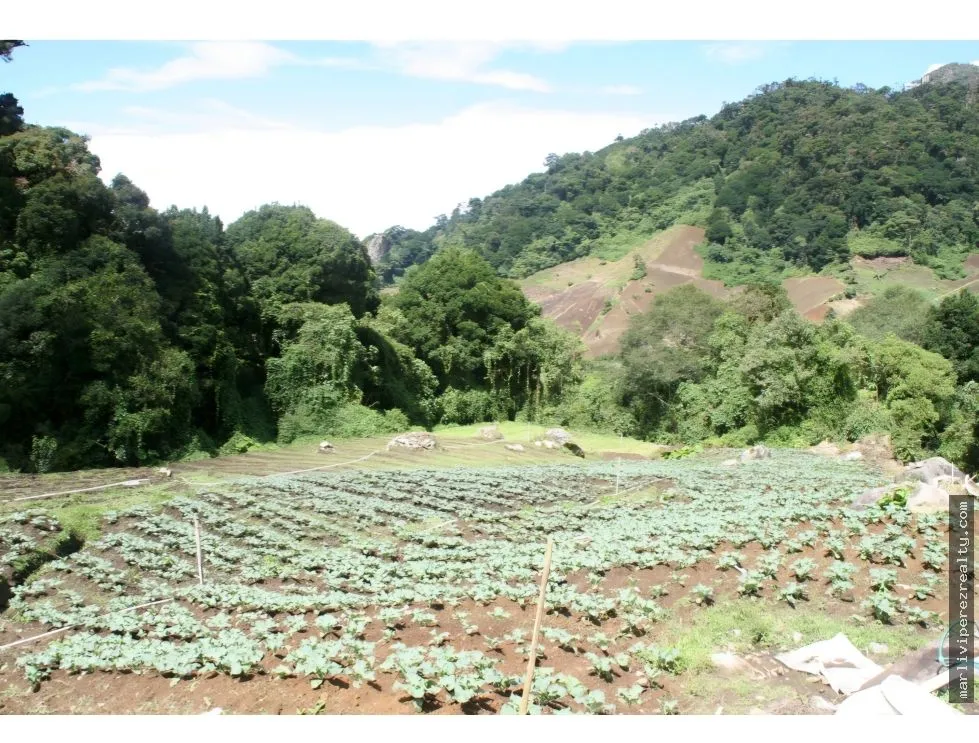 VENTA DE TERRENO PARA INVERSION
