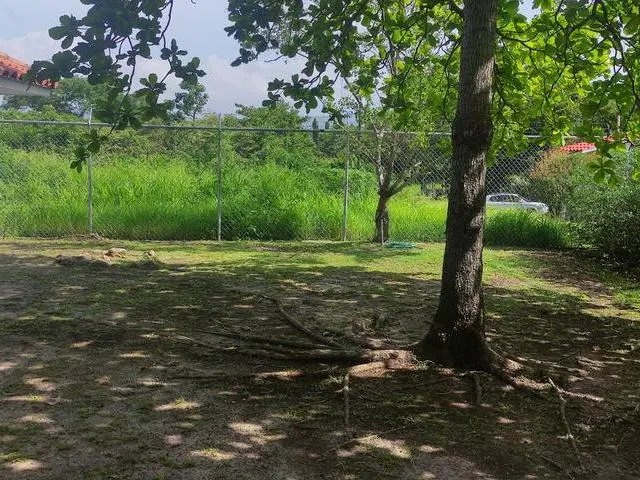 Casa de campo de 3 dormitorios con piscina y amplio jardín | Nueva Gorgona