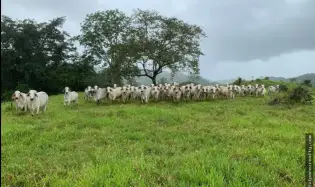 Se vende terreno en Soná-Veraguas, Panamá