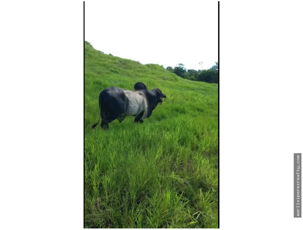 Se vende terreno en Soná-Veraguas, Panamá