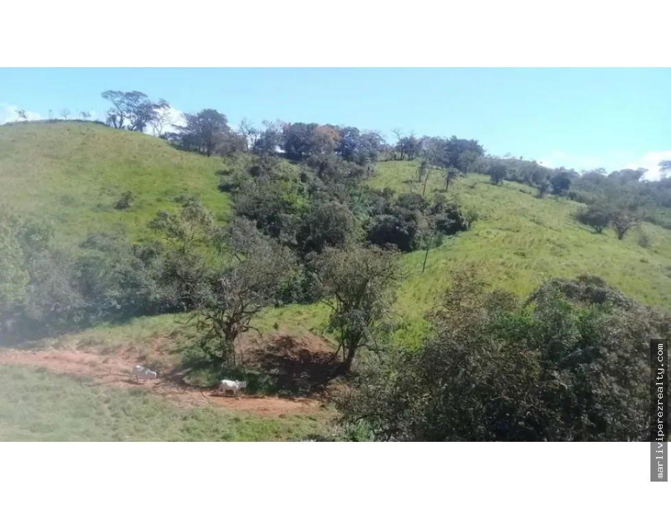 Se vende terreno en Soná-Veraguas, Panamá