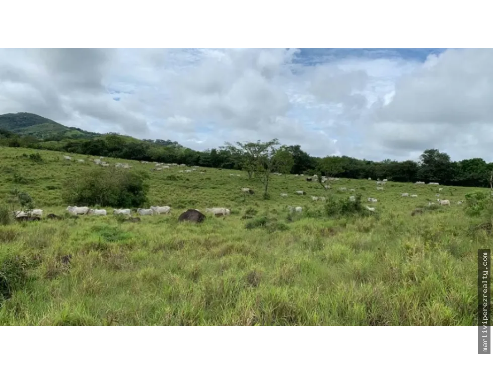 Se vende terreno en Soná-Veraguas, Panamá
