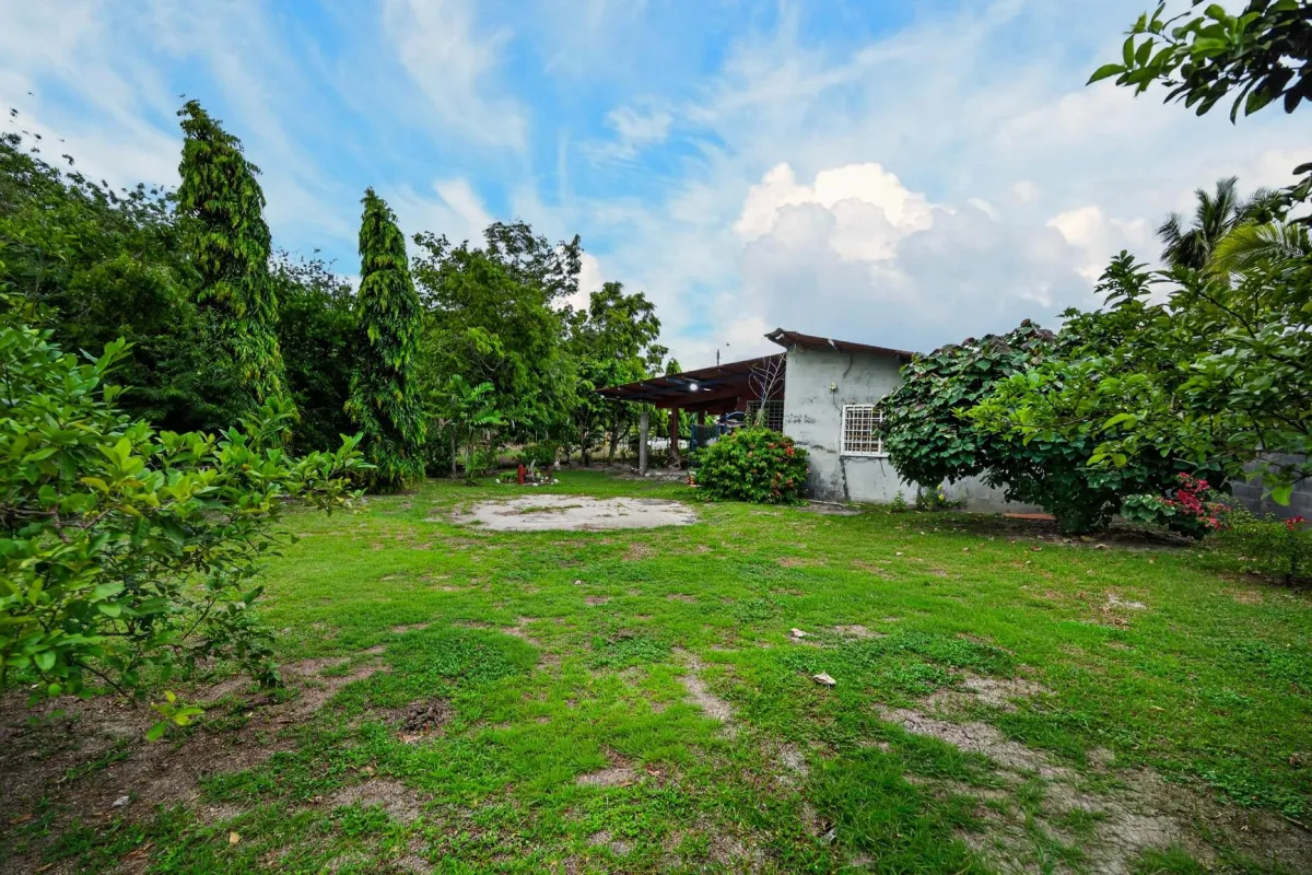 Tropical Hideaway in Gorgona