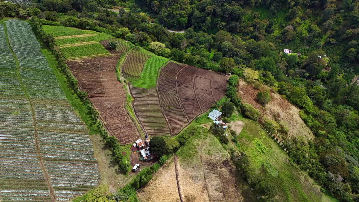 Mountain Land in Boquete Panama