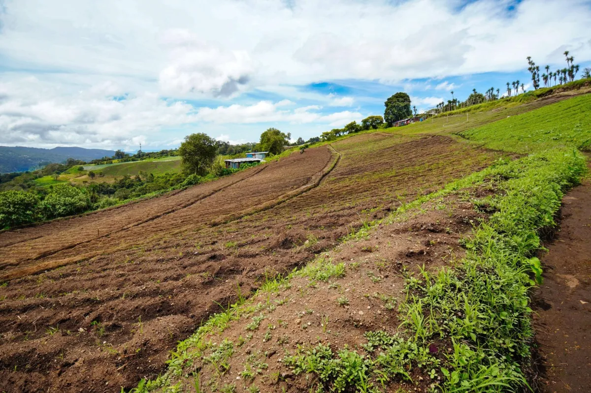 Mountain Land in Boquete Panama