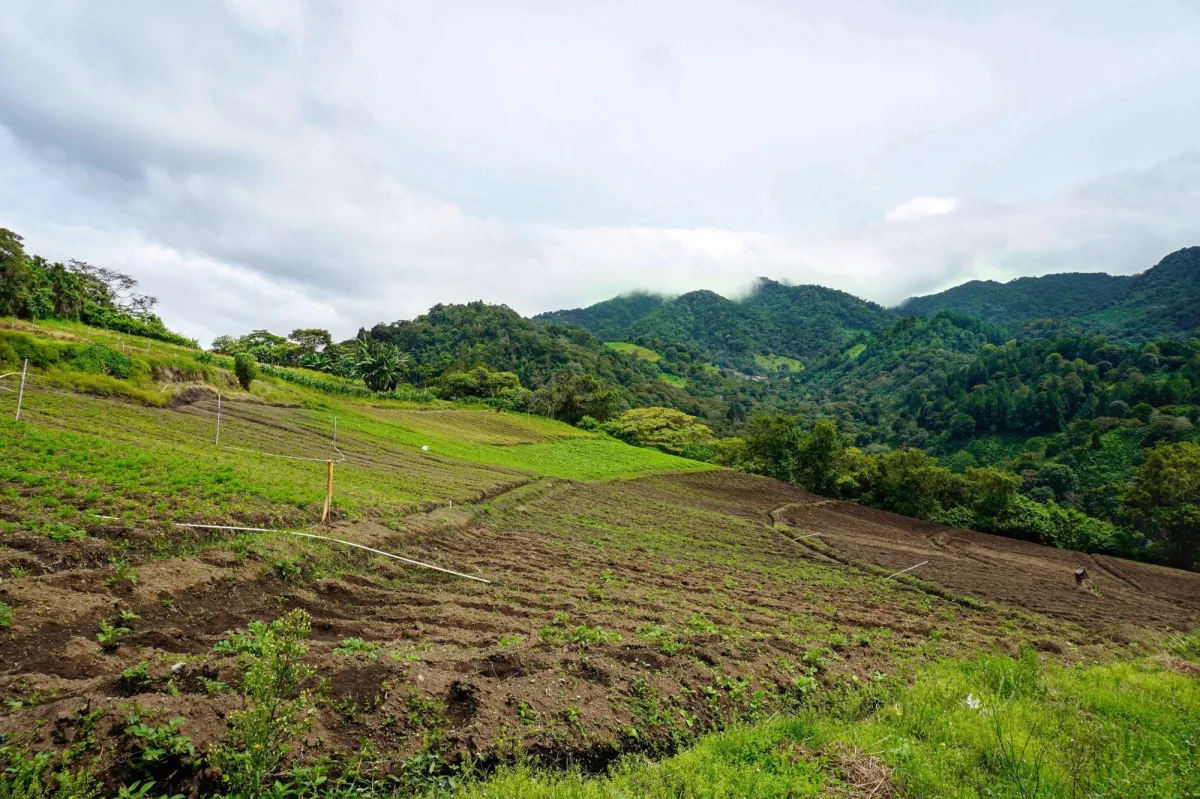 Mountain Land in Boquete Panama