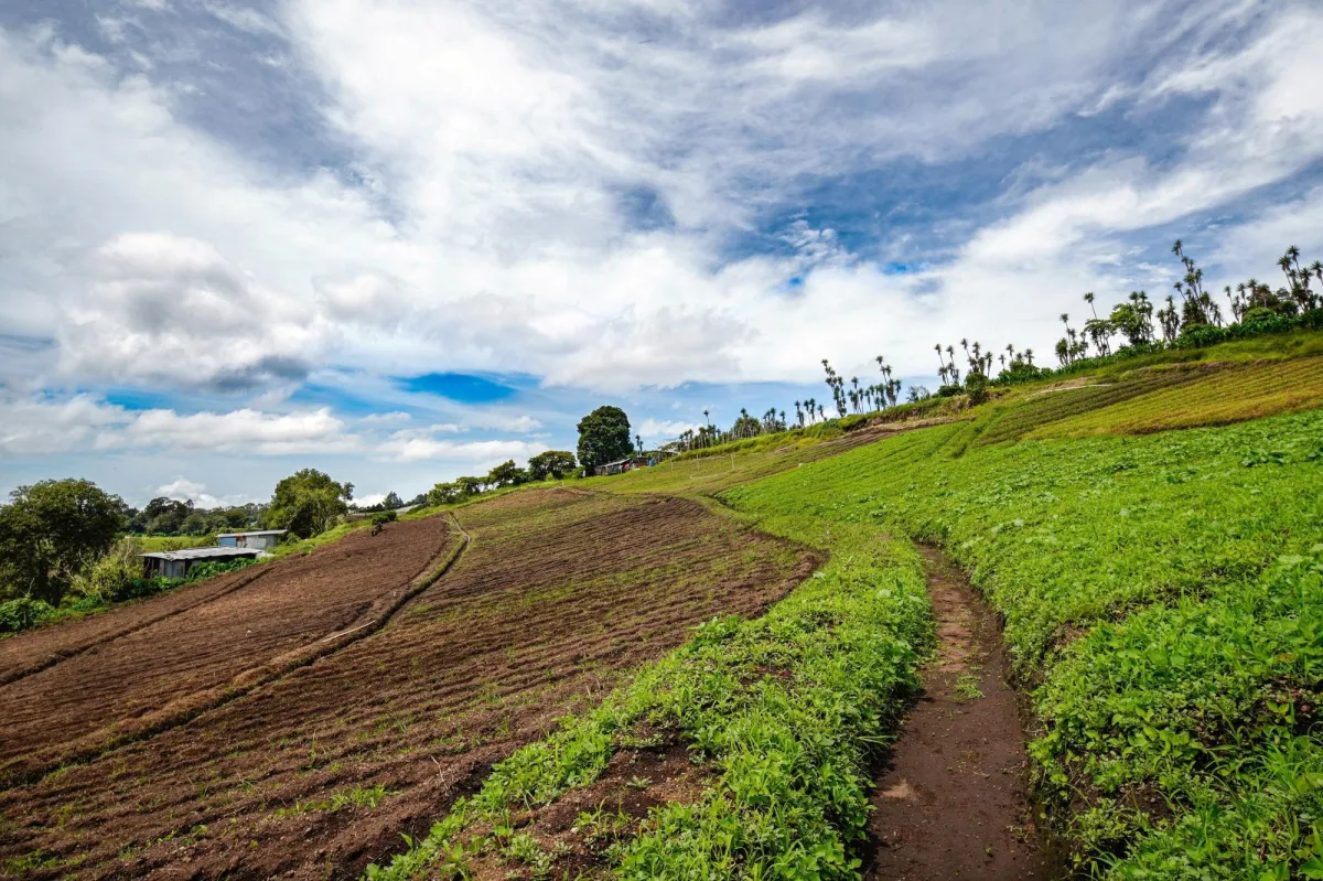 Mountain Land in Boquete Panama