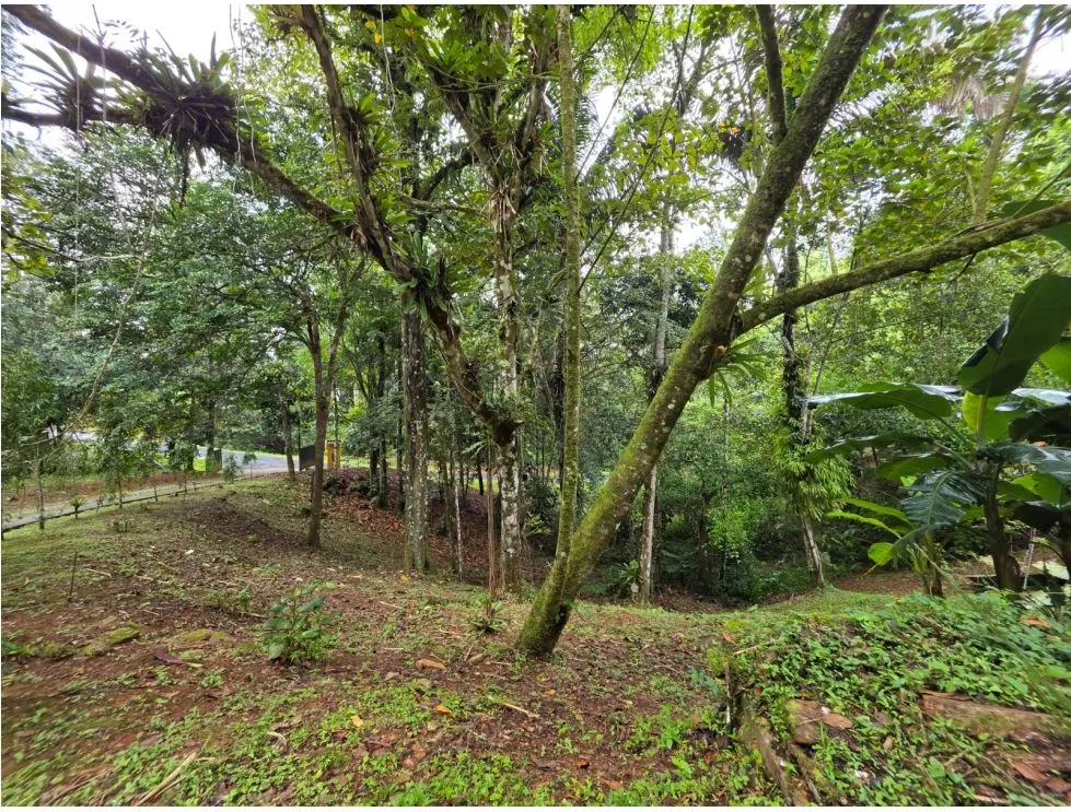 VENTA DE TERRENO CON 3 CABAÑAS EN ALTOS DE CERRO AZUL. MY