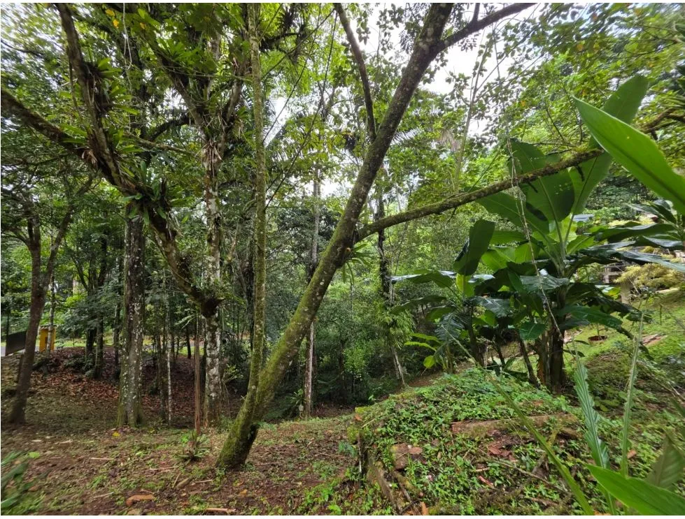 VENTA DE TERRENO CON 3 CABAÑAS EN ALTOS DE CERRO AZUL. MY