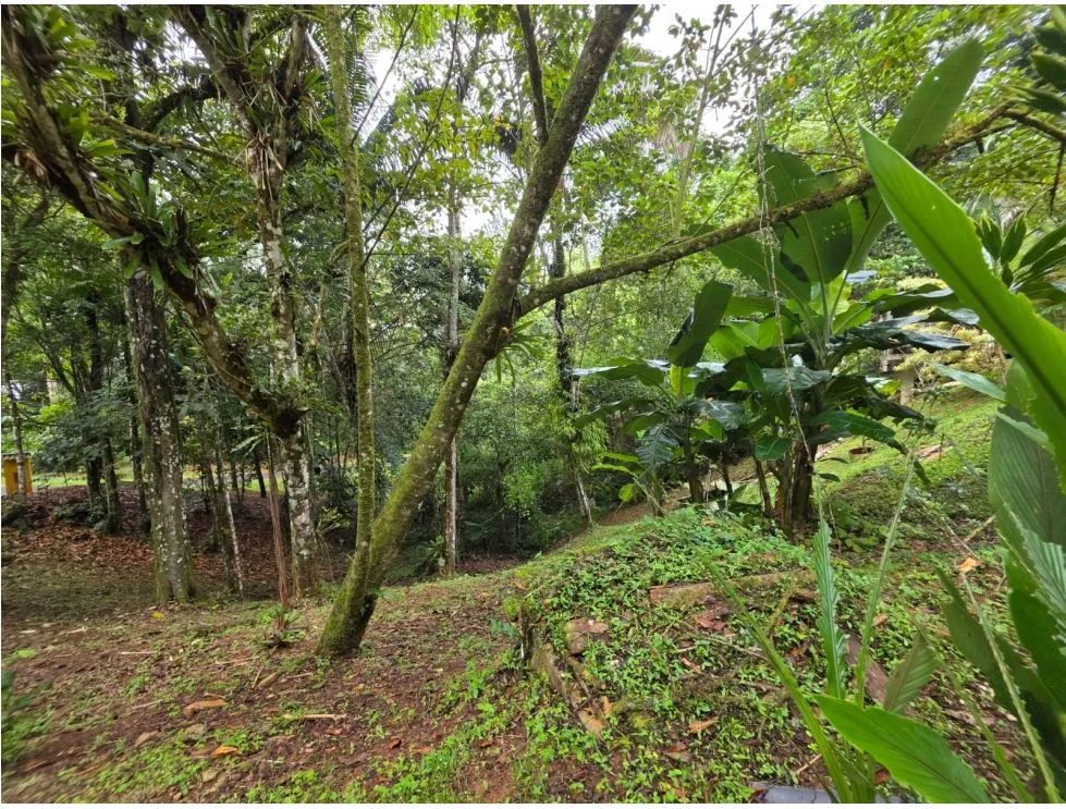 VENTA DE TERRENO CON 3 CABAÑAS EN ALTOS DE CERRO AZUL. MY