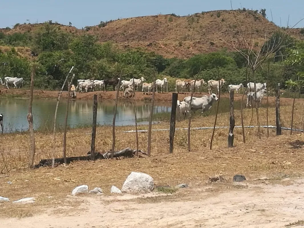 Terreno / Finca de 46.2 Hectáreas en La Coloradita, Veraguas | Con Casa y Lago