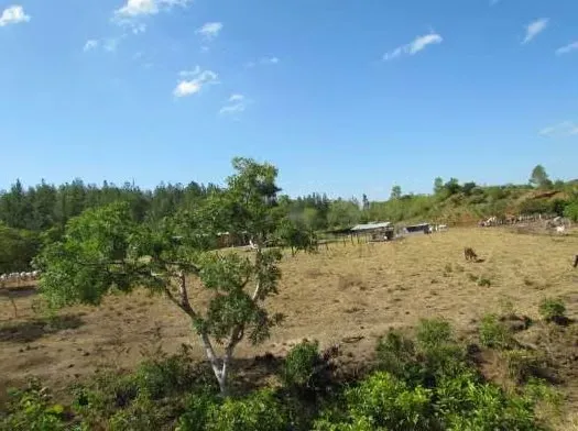Terreno / Finca de 46.2 Hectáreas en La Coloradita, Veraguas | Con Casa y Lago