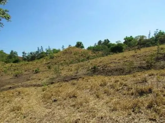 Terreno / Finca de 46.2 Hectáreas en La Coloradita, Veraguas | Con Casa y Lago