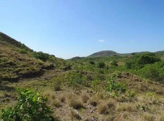 Terreno / Finca de 46.2 Hectáreas en La Coloradita, Veraguas | Con Casa y Lago