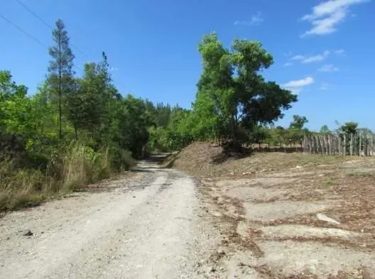Terreno / Finca de 46.2 Hectáreas en La Coloradita, Veraguas | Con Casa y Lago