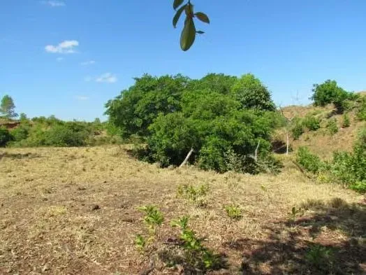 Terreno / Finca de 46.2 Hectáreas en La Coloradita, Veraguas | Con Casa y Lago