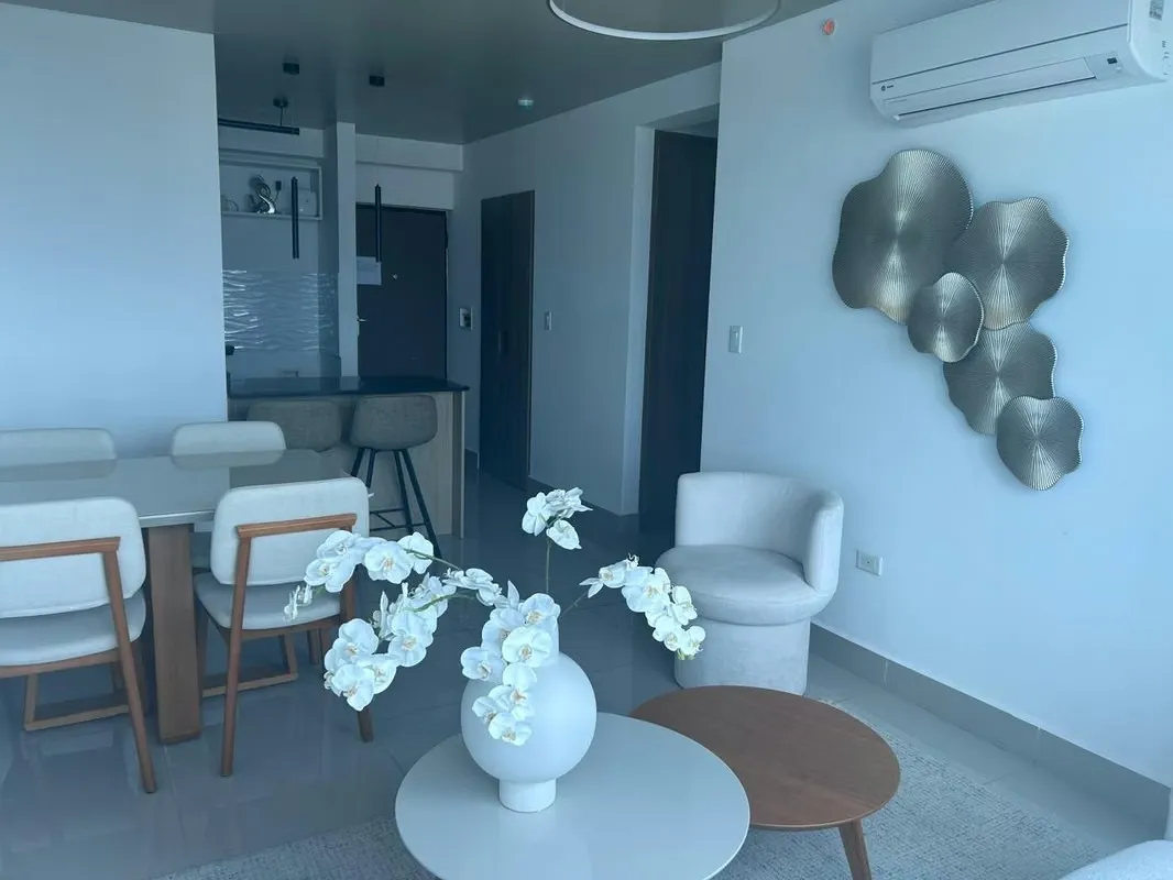Brand New for Sale. PH Alto Rio