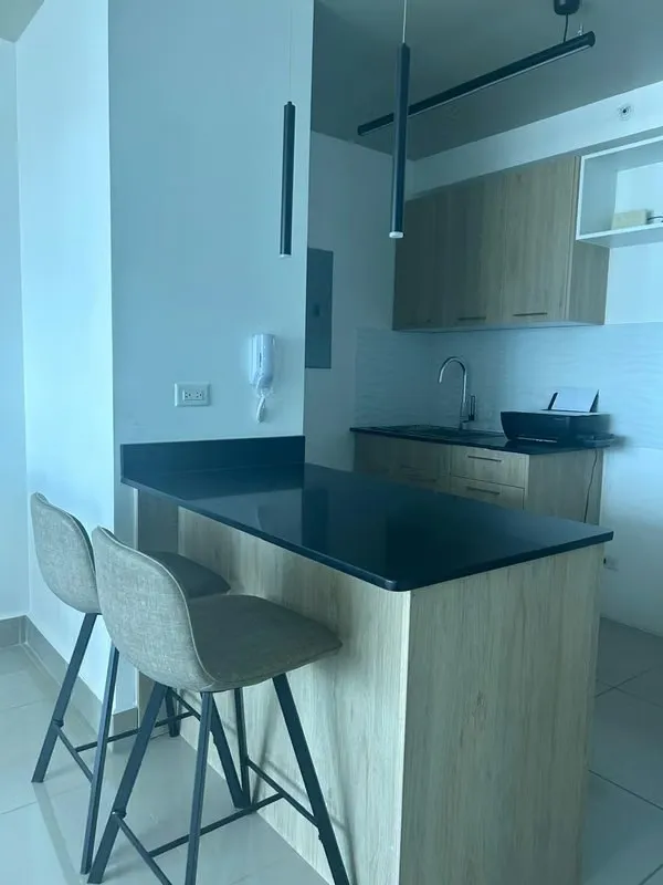 Brand New for Sale. PH Alto Rio