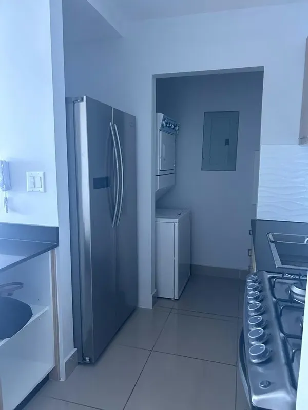 Brand New for Sale. PH Alto Rio