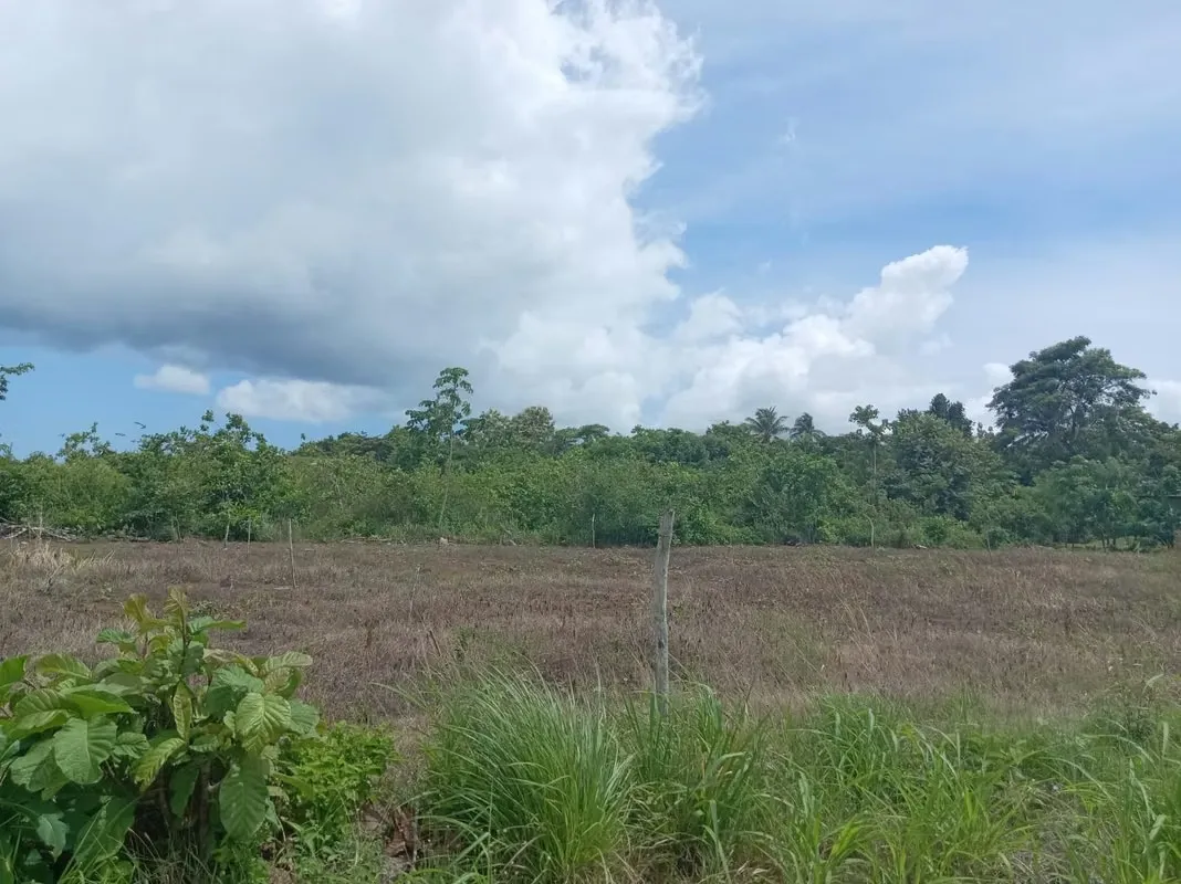 Flat 500 m² Land Lot in Rodeo Viejo | 10 Minutes from the Panamericana | $15,000