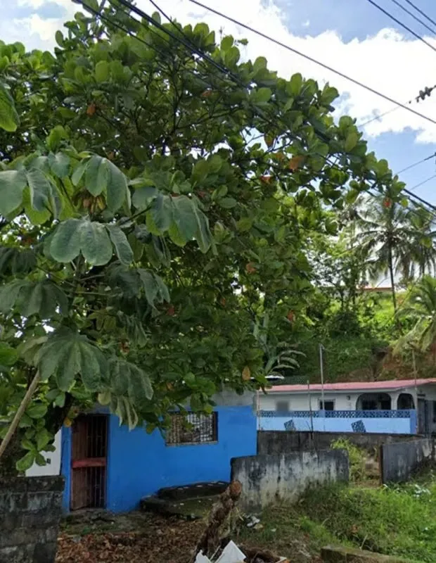 Venta de Terreno para uso Comercial (Negociable) - Cativá, Colón