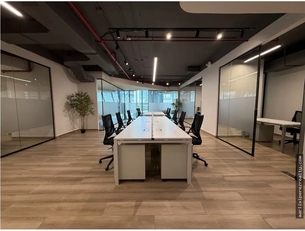 Office Rental in Costa del Este