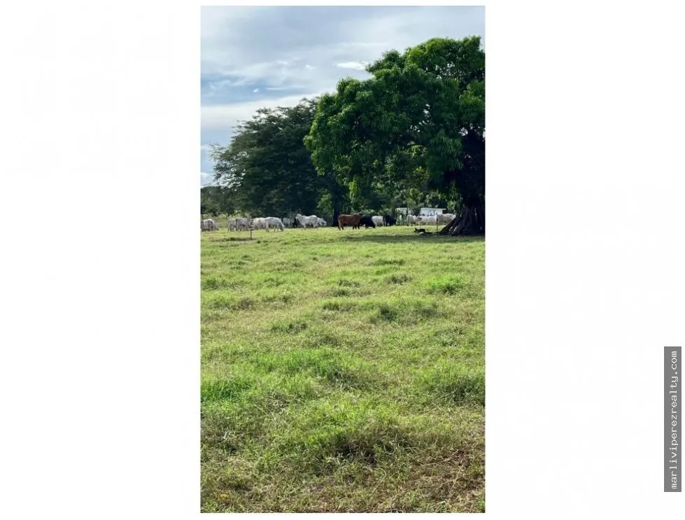 Terrain à bâtir à Chitre à vendre