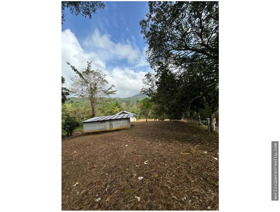 FARM FOR SALE – CAPIRA, PANAMA OESTE