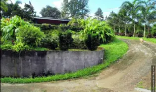 Rural Farm for Sale – Pico Pixbae, Penonomé, Coclé, Penonome