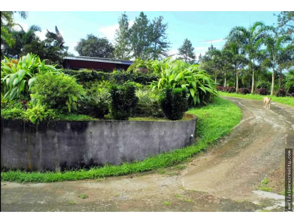 Rural Farm for Sale – Pico Pixbae, Penonomé, Coclé