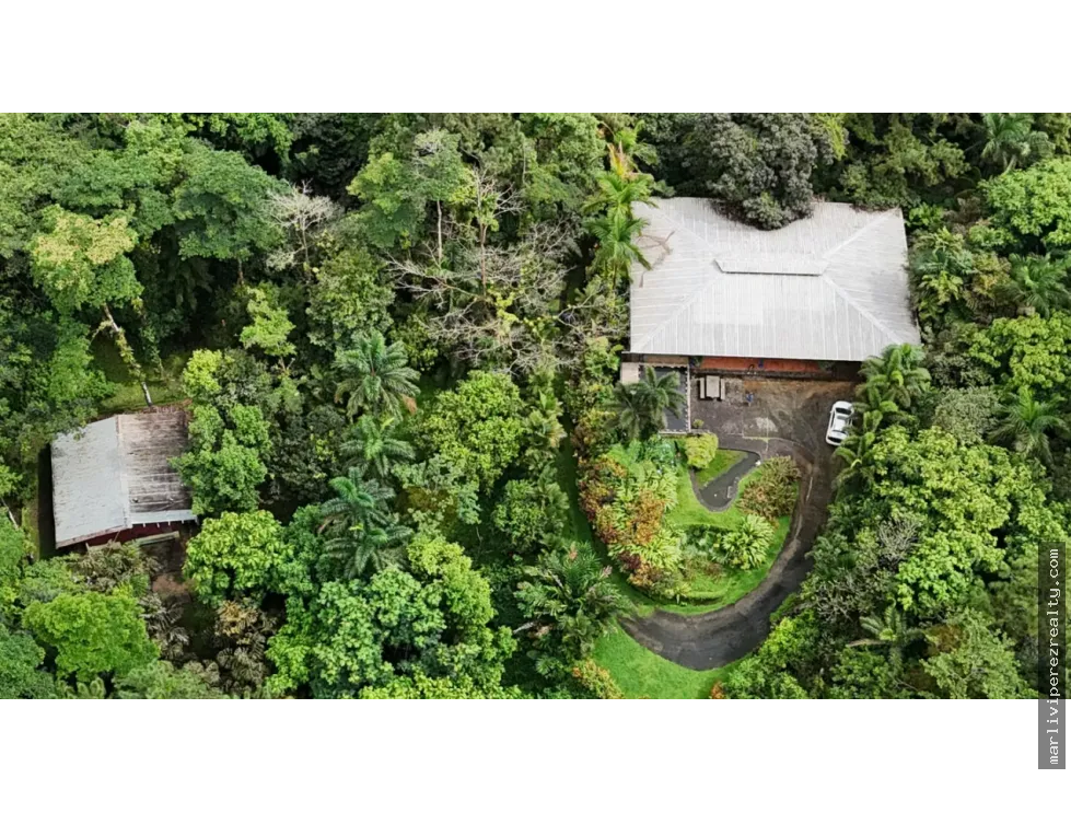 Rural Farm for Sale – Pico Pixbae, Penonomé, Coclé