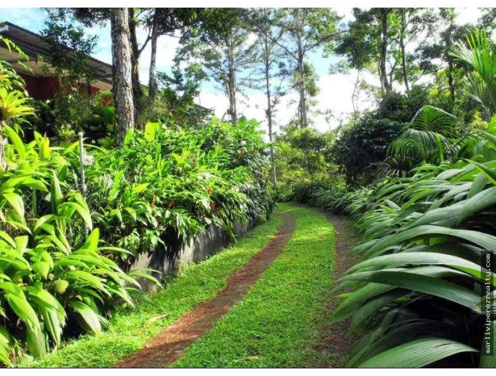 Rural Farm for Sale – Pico Pixbae, Penonomé, Coclé