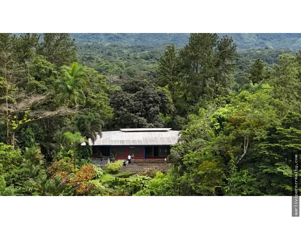 Rural Farm for Sale – Pico Pixbae, Penonomé, Coclé