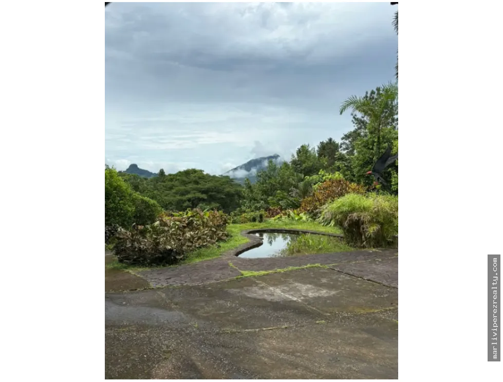 Rural Farm for Sale – Pico Pixbae, Penonomé, Coclé