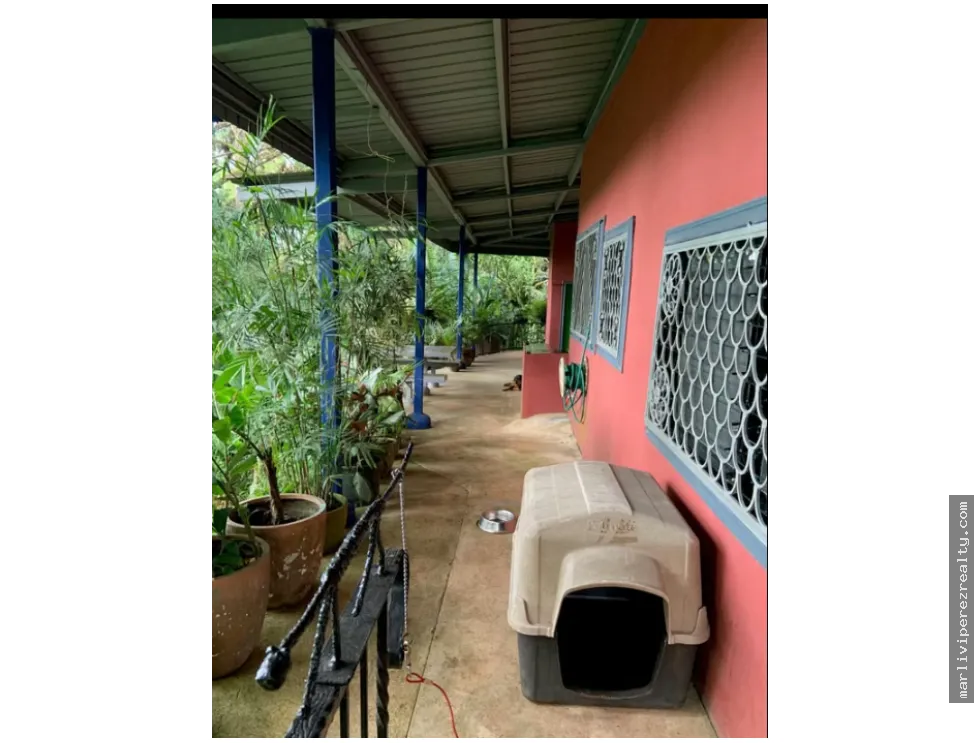 Rural Farm for Sale – Pico Pixbae, Penonomé, Coclé