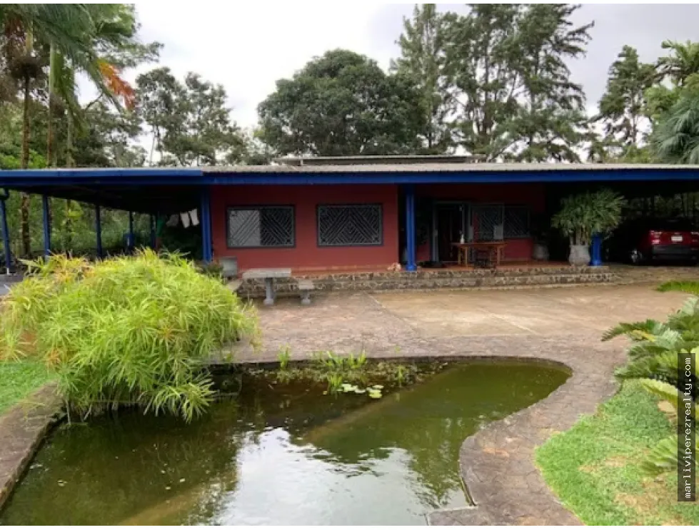 Rural Farm for Sale – Pico Pixbae, Penonomé, Coclé