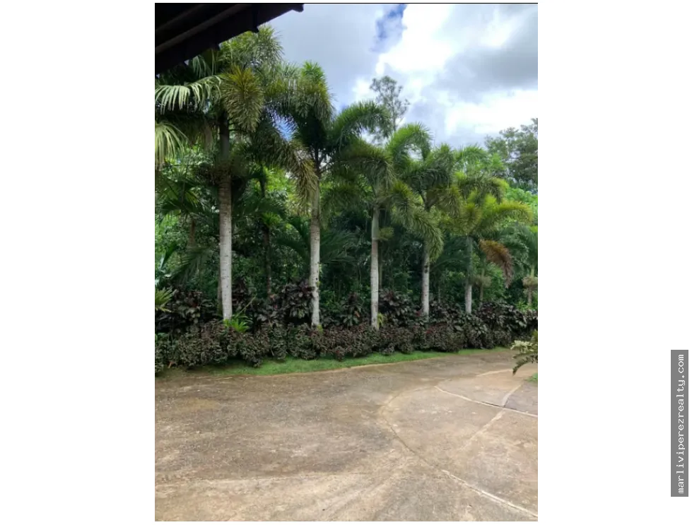Rural Farm for Sale – Pico Pixbae, Penonomé, Coclé