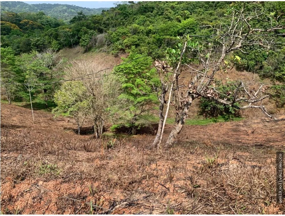 Venta de terreno en Llano de Chepo, camino a San Blas