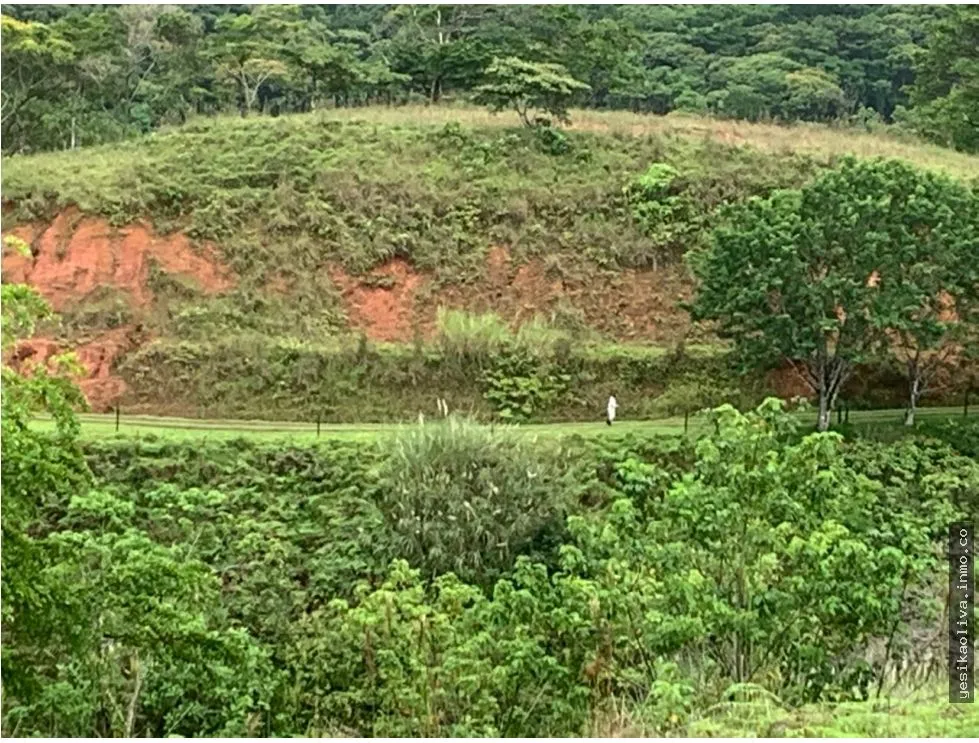 Venta de terreno en Llano de Chepo, camino a San Blas