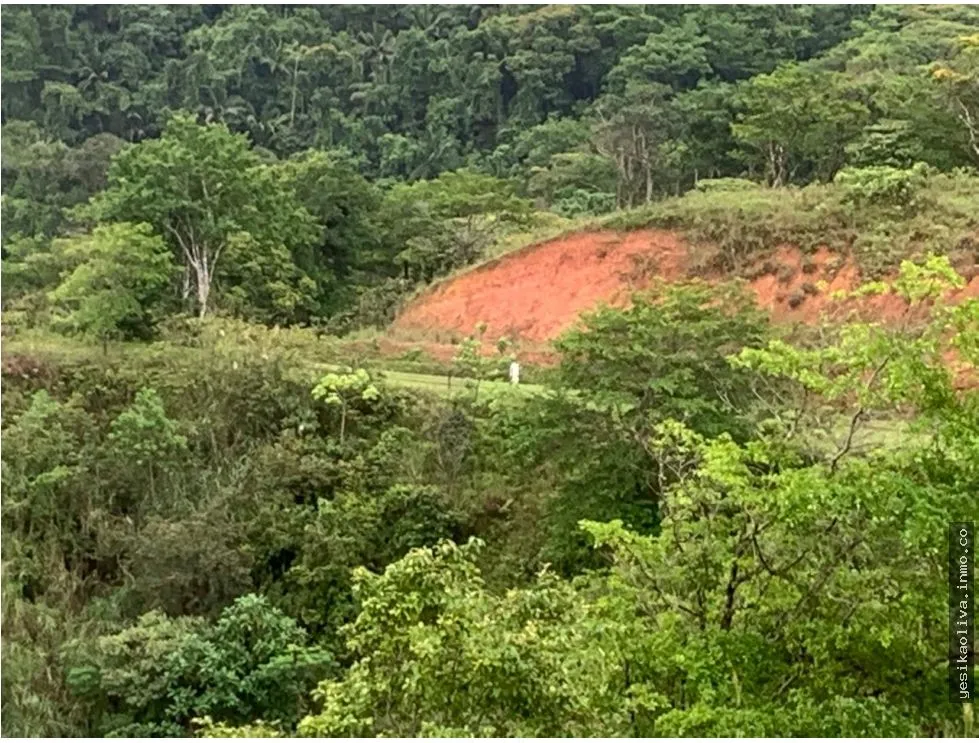 Venta de terreno en Llano de Chepo, camino a San Blas