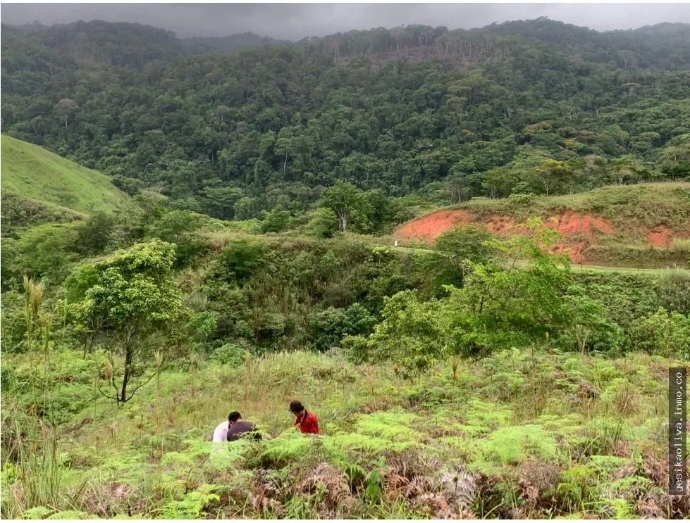 Venta de terreno en Llano de Chepo, camino a San Blas