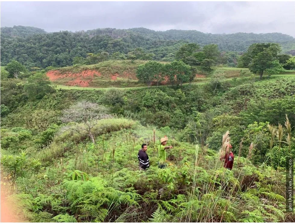 Venta de terreno en Llano de Chepo, camino a San Blas