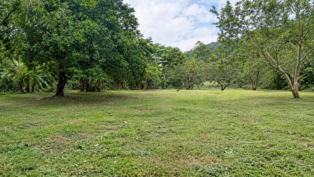 Ecotourism land for sale from El Valle de Antón