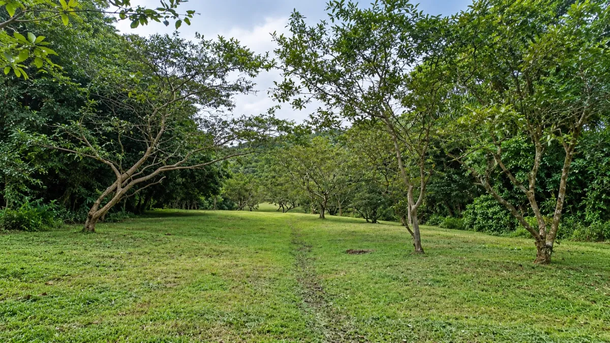 Ecotourism land for sale from El Valle de Antón