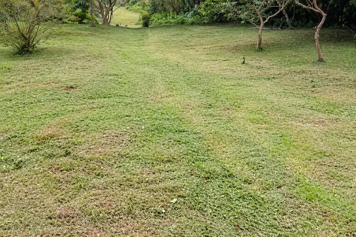 Ecotourism land for sale from El Valle de Antón